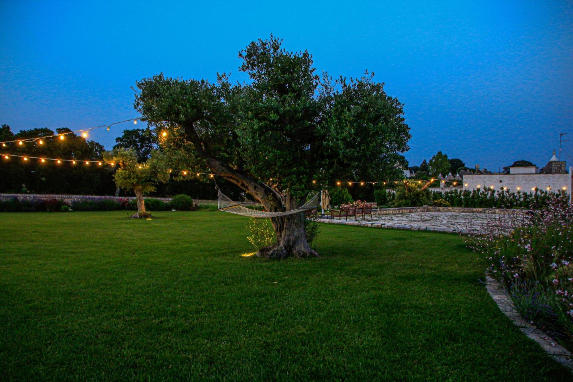 Agrosilente Bed and Breakfast Locorotondo Exteriör bild